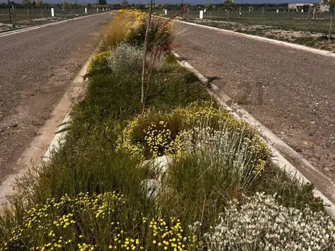 Ruta Provincial 88