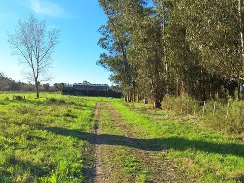Camino Rincón de Pando 100