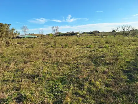 Camino Rincón de Pando 100