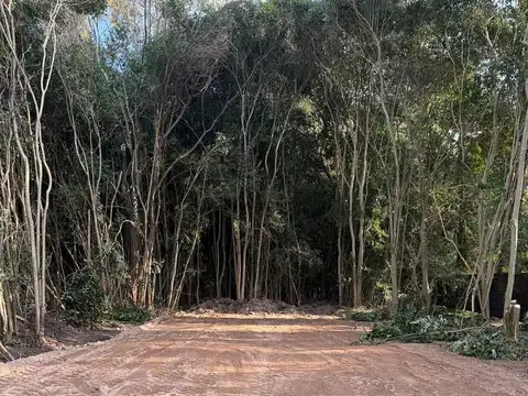 Terreno en Venta 30  mts Fondo