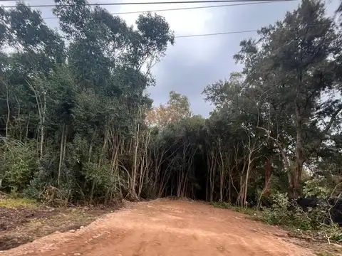 Terreno en Venta 30  mts Frente