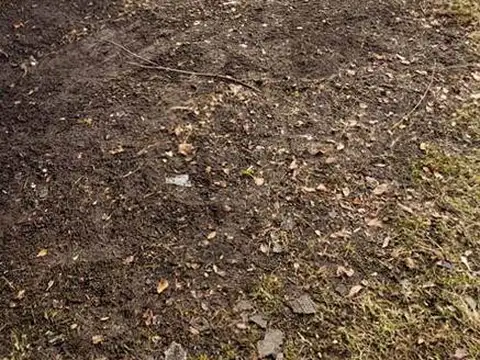 al 15000 de Winthrop St en Detroit