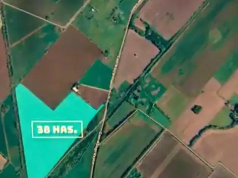 Campo en Exaltación de la Cruz