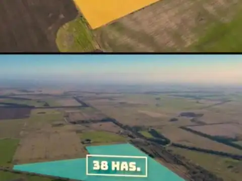 Diego Gaynor - Ex. de la Cruz