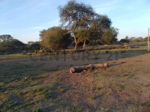 Venta de establecimiento  Rural- campo en Villa Guillermina Santa Fe
