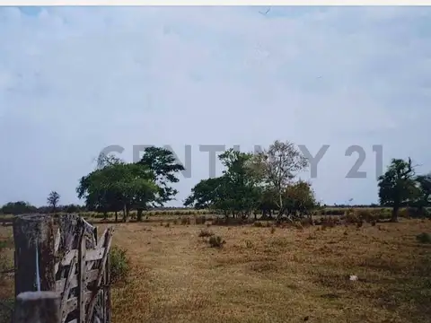 Venta de establecimiento  Rural- campo en Villa Guillermina Santa Fe