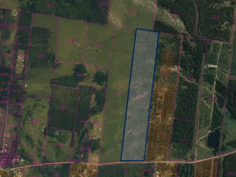 Venta Campo 23,2hás con frente a Ruta 103 Araminda