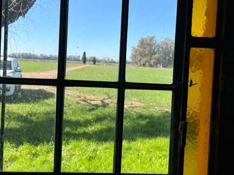 Campo en Venta de 8  ha