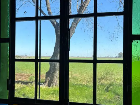 Camino viejo a Atucha 500
