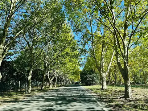 Terreno en Venta de 1050,0 m2