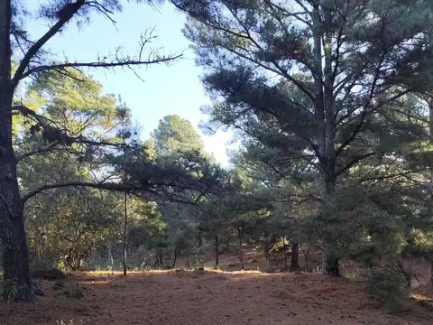 Terreno en Venta de 105000,0 m2