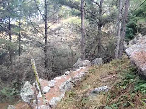 Terreno en Venta de 105000,0 m2
