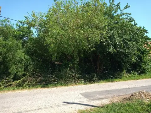 57 E/ 13 Y 14, VILLA ELISA - LOTE DE 11 x 44 M.