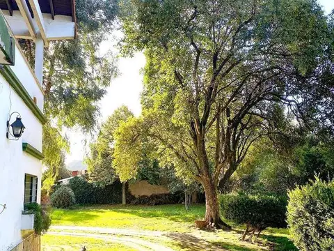 Juan Bautista Alberdi   1400 - Moreno