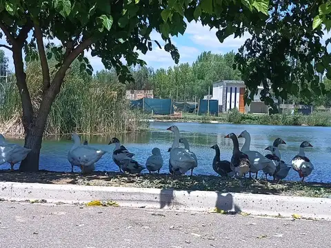 Terreno en venta
