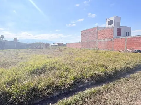 Atocha. Tierra Mía. Mza 53. Lote 100