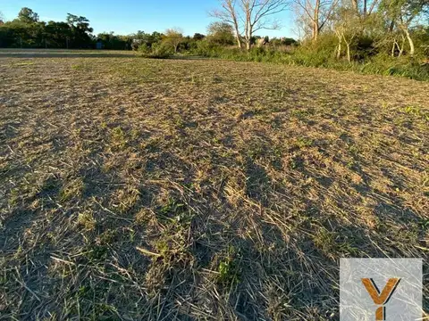 Terreno en venta - 2.428Mts2 - Los Talas, Berisso