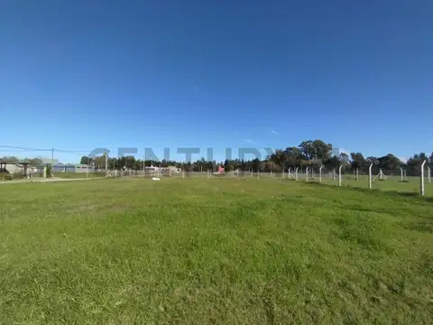 TERRENO EN VENTA EN SICARDI