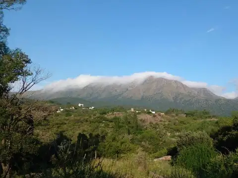CAMPO DE UNA HECTAREA CON UNA CASA Y 5 CABAÑAS