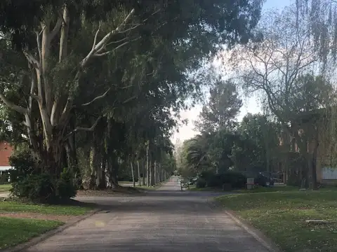 Boca Ratón 100