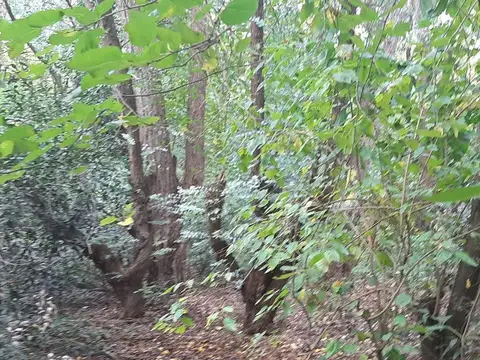 Terreno en Barrio Ruta 24 Kilómetro 10