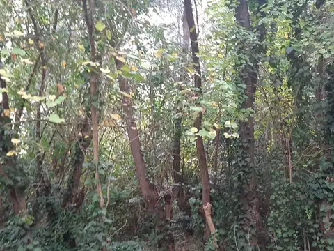 Terreno en Venta en General Rodriguez, USD 70.000