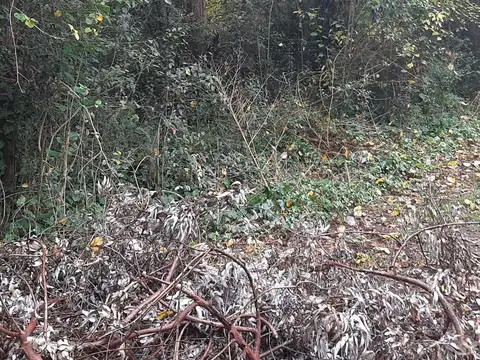 Terreno en Venta 100  mts Fondo