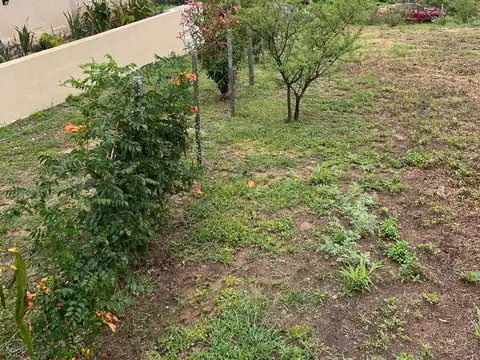 Terreno en Venta 15  mts Frente