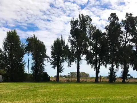 Los Cardenales - Country El Paso