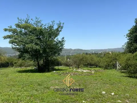 El Cardenal