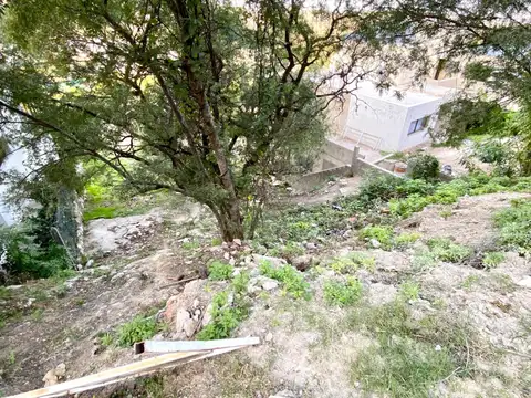 Jorge Luis Borges 489