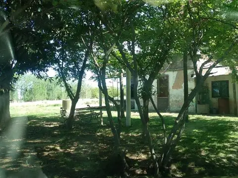 Quinta en Venta al Noreste