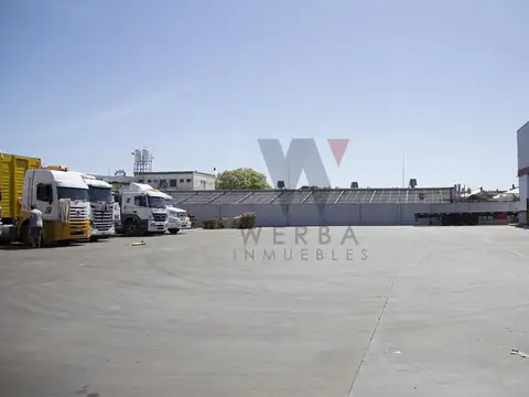 DRAGO, LUIS MARIA 5600