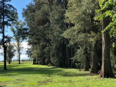 Terreno en Venta en General Rodríguez, USD 45.000