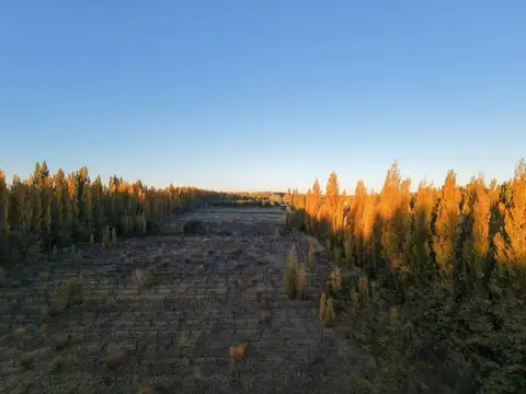 Terreno en Venta de 40000,0 m2