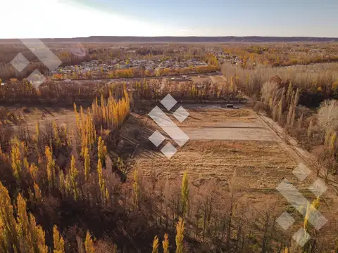 En Venta, Chacra de 7 Hectáreas, en Plottier, Neuquén