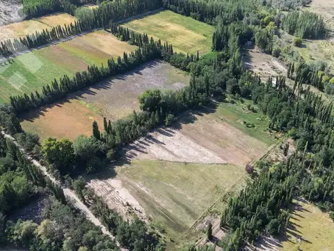 En Venta, Chacra de 7 Hectáreas, en Plottier, Neuquén