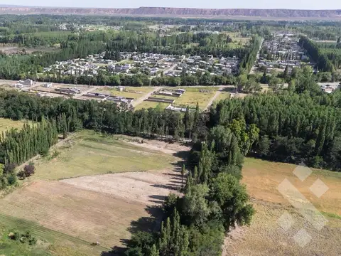 En Venta, Chacra de 7 Hectáreas, en Plottier, Neuquén