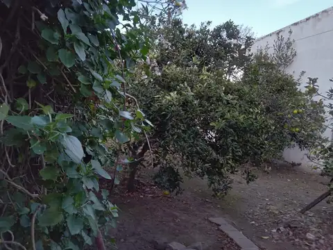 Pancho Ramirez 619