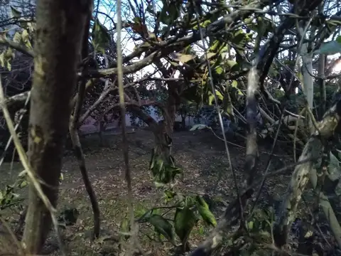 Terreno en Venta de 186,0 m2