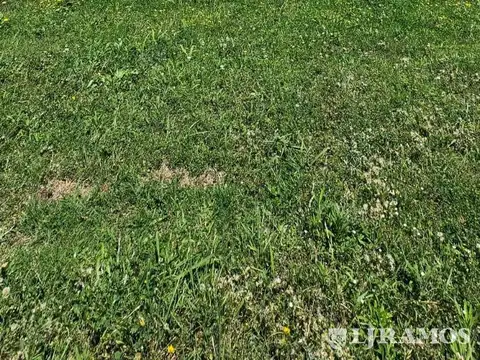 Terreno en Muelles