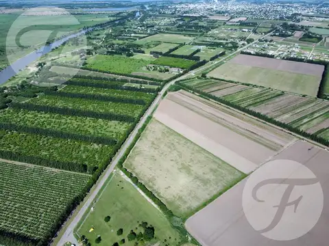 Alquiler de parcela comercial 4.5 ha sobre pavimento I 15 quintales por hectárea