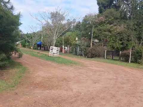 Los Cedros Y Las Camelias