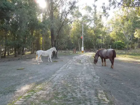 Lote en Chascomús Venta 1 Ha Casa a reciclar