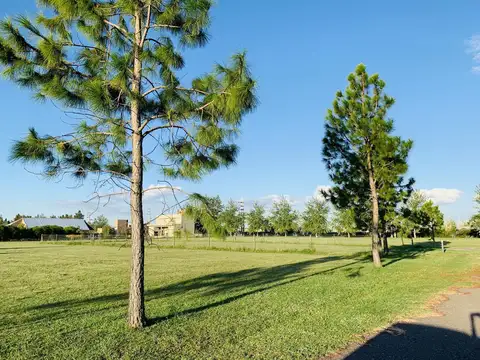 Terreno en barrio privado Puerto Roldan