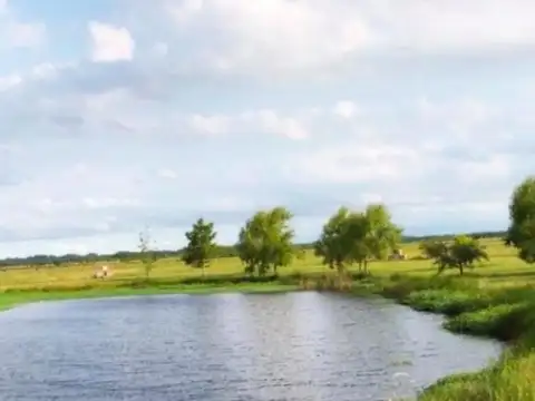 Av. Del Libertador General San Martin