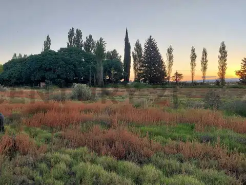 Terreno en Venta en San Rafael, USD 13.900