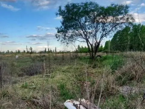 Terreno en Venta de 3028,0 m2