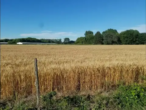 Campo en Venta de 15  ha