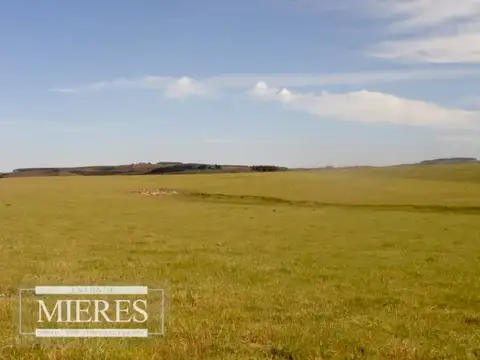 Campo - Venta - Uruguay, Maldonado
